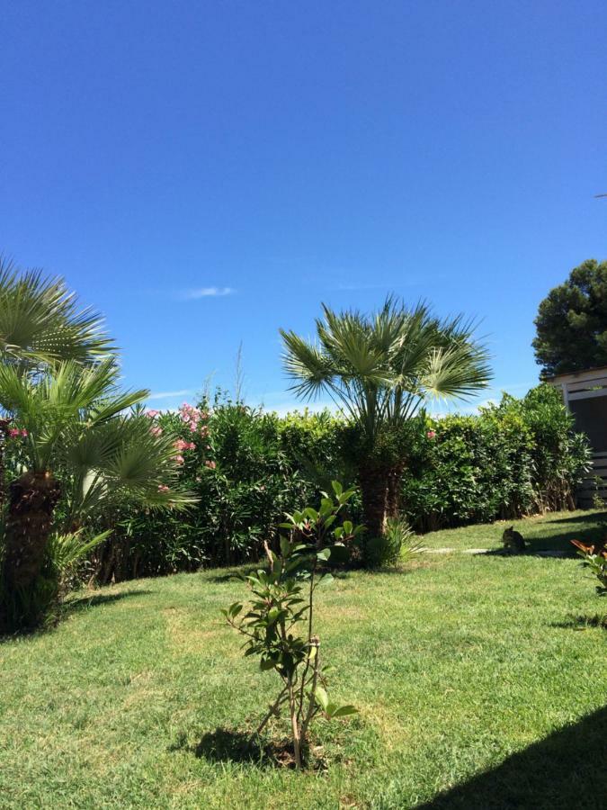 Casa "La Conchiglia" Bed and Breakfast Civitanova Marche Buitenkant foto